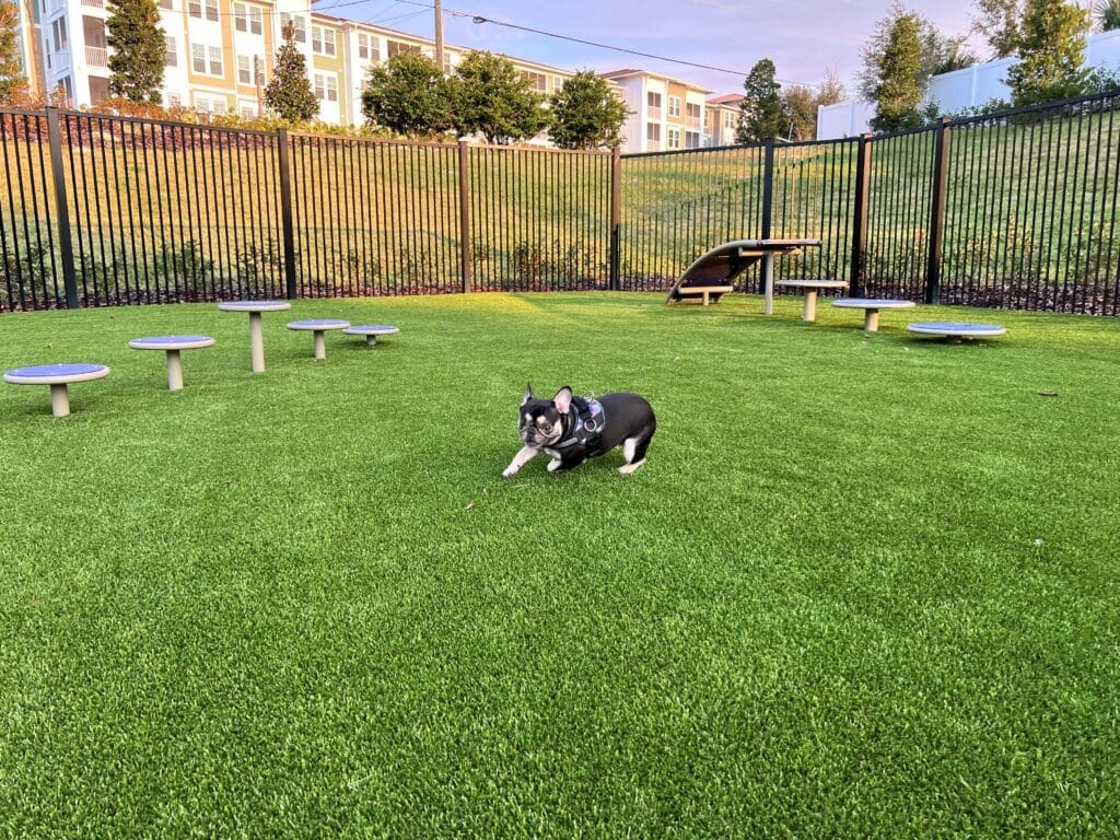 Addison Farms pet park